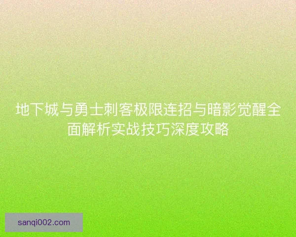地下城与勇士刺客极限连招与暗影觉醒全面解析实战技巧深度攻略
